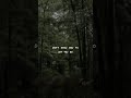 sombr - willow (lyrics)