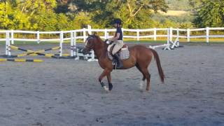 Lesson 7-19-16 flat lateral work
