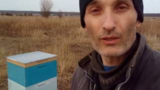 Канди для пчел. Подкормка пчел зимой. Приготовление канди. Канди для пчел. Подкормка пчел зимой. Приготовление канди.
