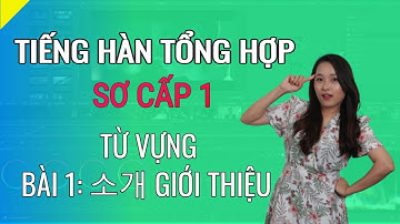 Tiếng Hàn Tổng Hợp Sơ Cấp 1 - Từ vựng Bài 1 - 소개  Giới Thiệu