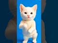 Dubi dubi bam bam 🐾🤣#catstory #shorts #littleshorts