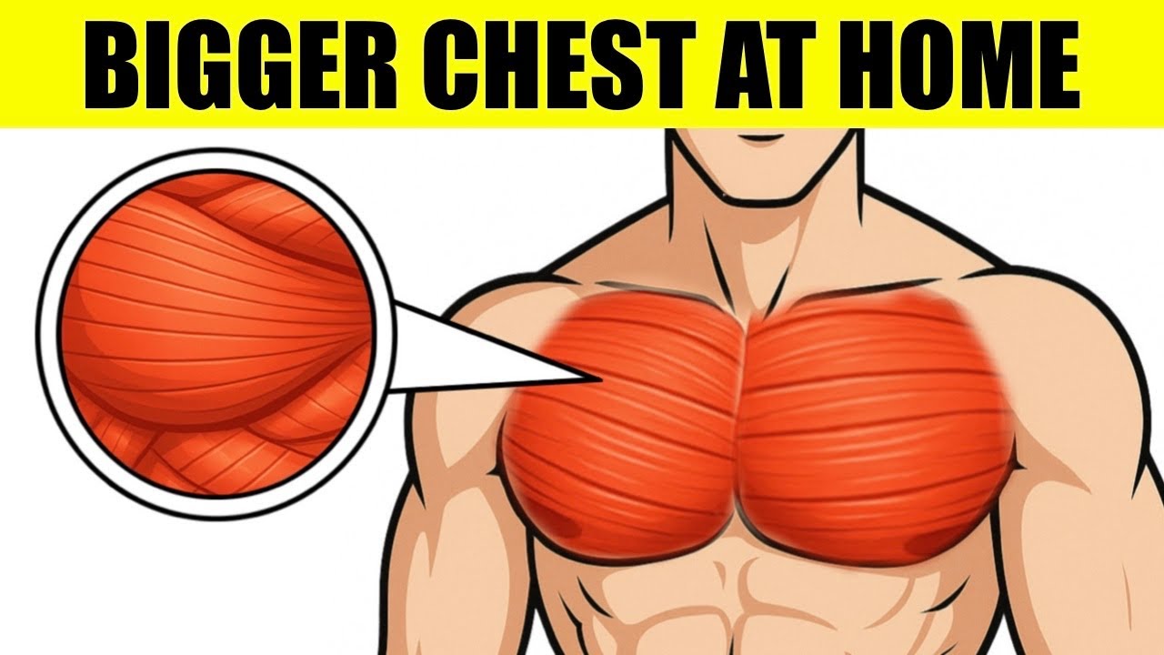 How to Get a Bigger Chest Without Weights (At Home & Fast) - YouTube