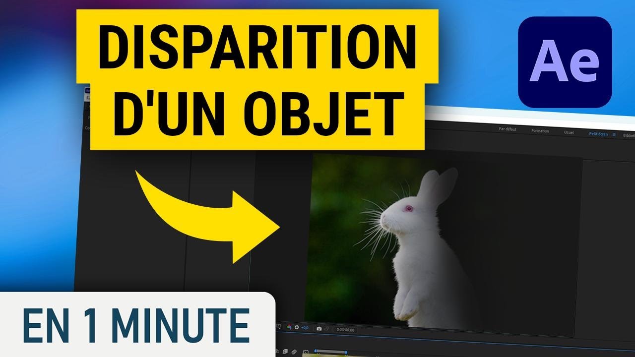 Comment Faire Disparaitre Un Image Dans Une Video