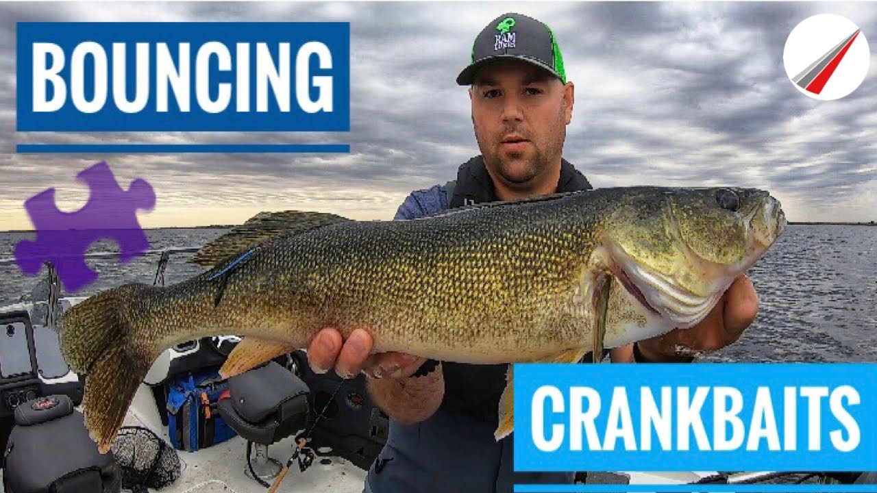 Bouncing Crankbaits For Walleye 