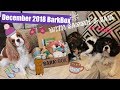 BarkBox Unboxing | December 2018 | with Sammie &amp; Kaia | &amp; Mollie the Cat!