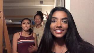 berkeley summer springboard