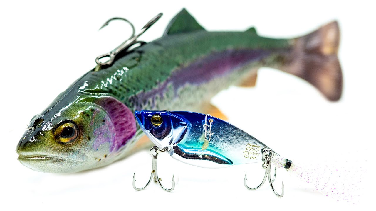 Top Baits For Winter Bass Fishing! (Cold Water Fishing) YouTube