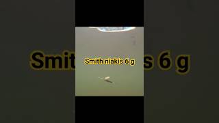 Виртуозная игра блесны smith niakis 6 g на сильном течении #рыбалка #река #smith