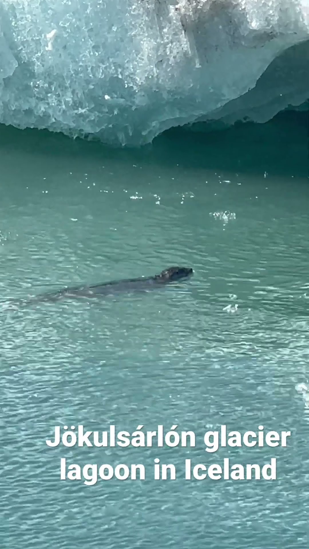 Jökulsárlón glacier lagoon in Iceland — Jökull — video poster