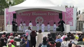 Oshiro Karate Dojo @ Northern California Cherry Blossom Festival 2024 Japantown San Francisco