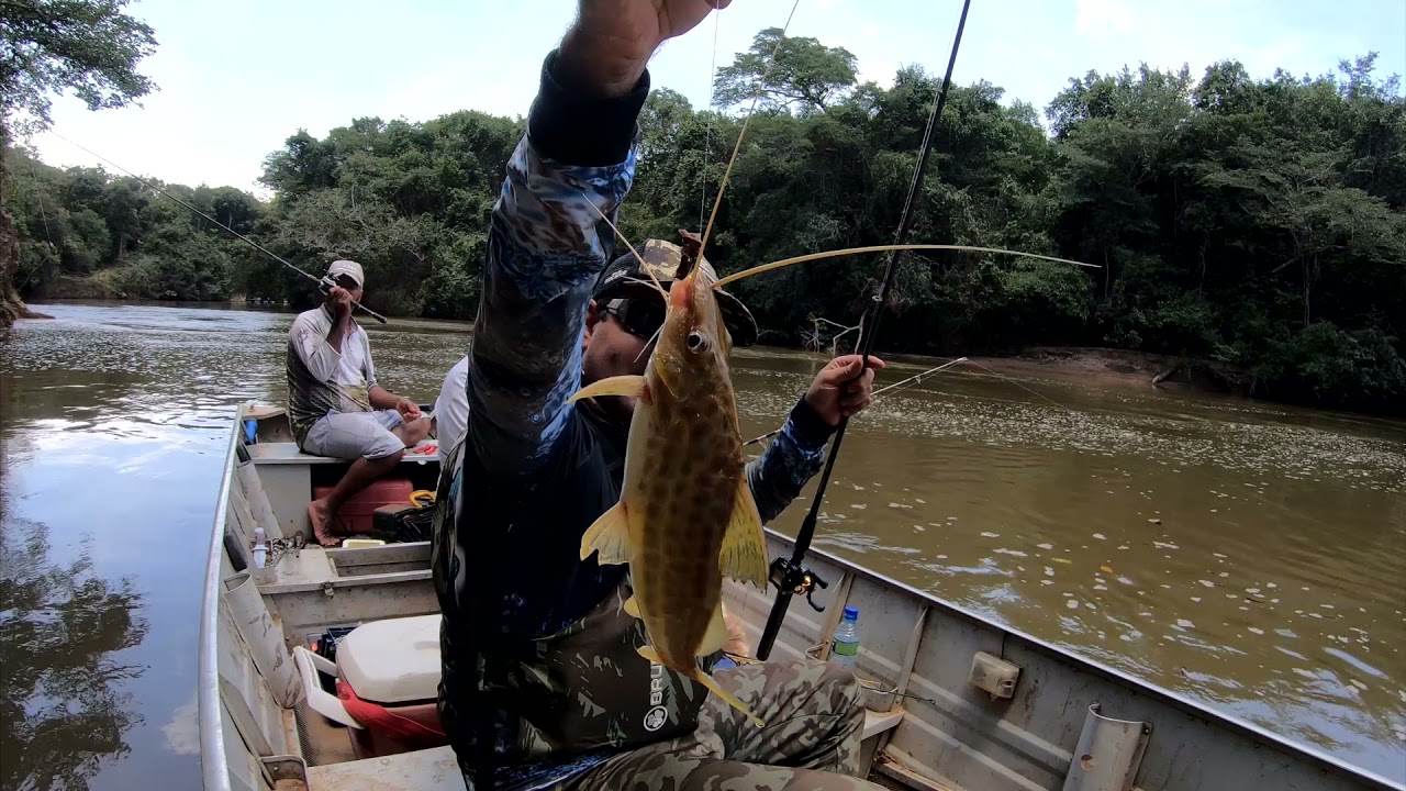 RIO SÃO MARCOS (LUGAR DOS MANDI GIGANTE)