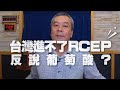 '20.11.17【觀點│小董真心話】台灣進不了RCEP反說葡萄酸？