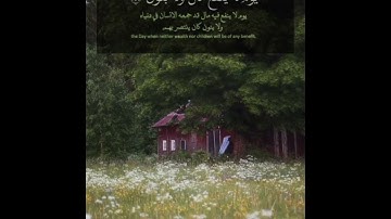 القارئ عمر محجوب سوره الشعراء