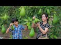 Have you ever taste young avocado like this! Harvest young avocado special cook | Eat young avocado