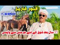 35 سال بعد جرمنی سے وطن واپسی گھوڑوں کا شوق Al Noor Horse Farm Sheikhupura 35 سال بعد جرمنی سے وطن واپسی گھوڑوں کا شوق Al Noor Horse Farm Sheikhupura