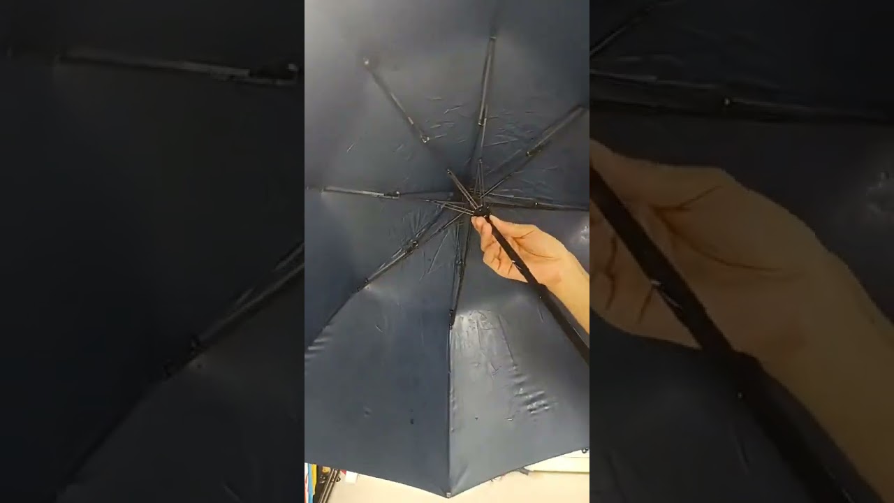 2 fold umbrella  811
