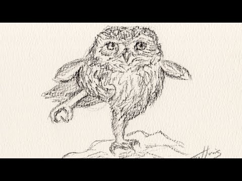 Minimal Owl Sketch | Charcoal Pencil Drawing