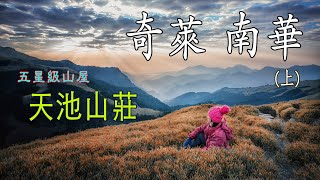 奇萊南華新手入門百岳 ｜五星級山屋 天池山莊 ｜黃金大草原｜滿滿雲海