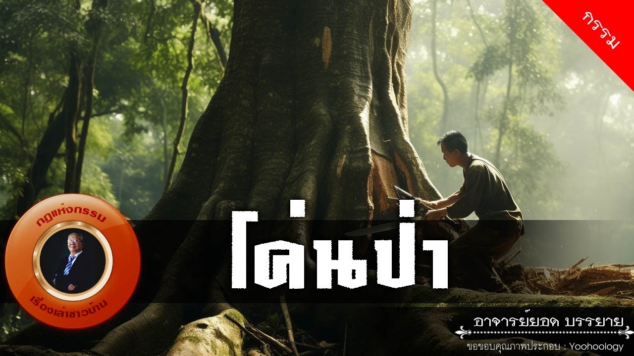 อาจารย์ยอด : โค่นป่า [กรรม]