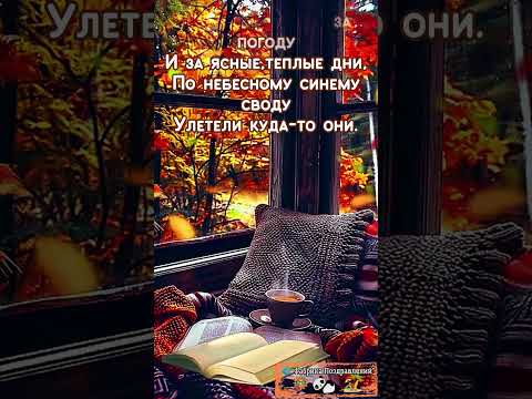 До свидания октябрь, привет ноябрь!