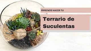 👩🏼‍🌾Como Hacer un terrario de Suculentas 🌵 English subtitles Succulent Terrarium