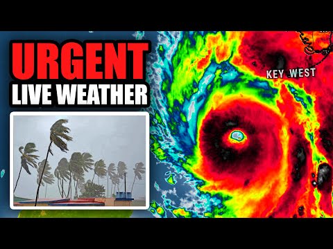 Hurricane Ian Live Coverage, As It Happened | Part 1's Avatar
