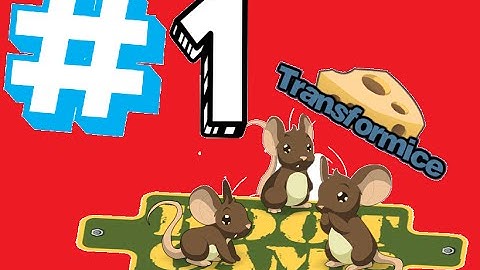 Transformice - Bootcamp #1