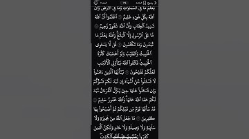 #سورة_المائدة #اكسبلور #قرآن #دويتو #تيك_توك #راحة_نفسية #لايك