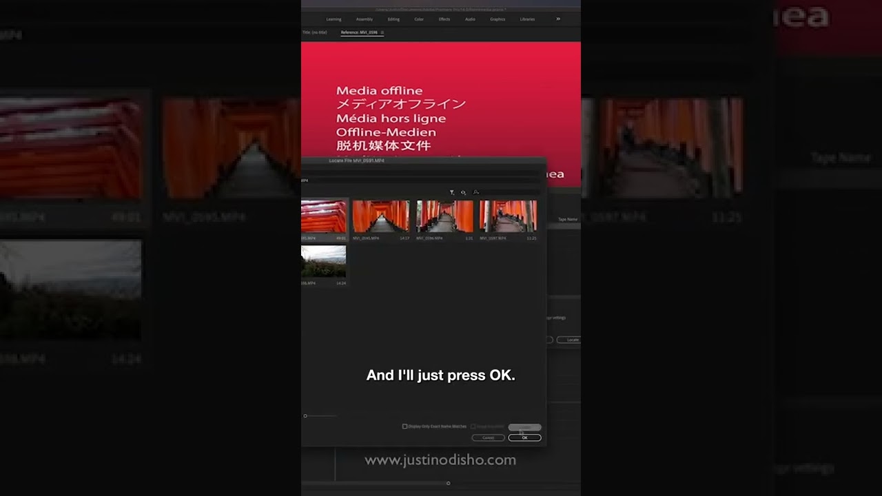 How to Fix the RED OFFLINE SCREEN in Adobe Premiere Pro