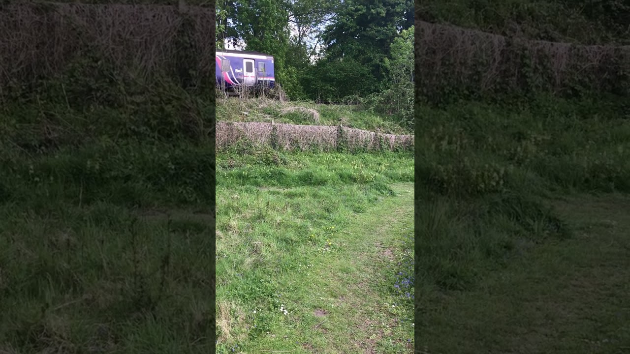 Class 156 Sprinter | 156465 | Northern