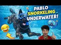 My Dog Went Underwater كلبي غرق تحت الماء mp3
