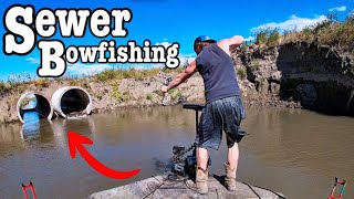 River Bowfishing Sewer Pipes Traps Big Fish!!! (They’re Everywhere!!!)