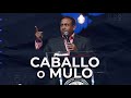 Caballo o Mulo | Pastor Juan Carlos Harrigan |1427