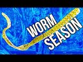 july is for texas rigs and mag shakey head worms