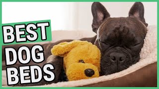 Best Dog Bed | TOP 7 Orthopedic Dog Beds (2021) 🐶 ✅ by PETSCOPE 3,966 views 3 years ago 7 minutes, 46 seconds
