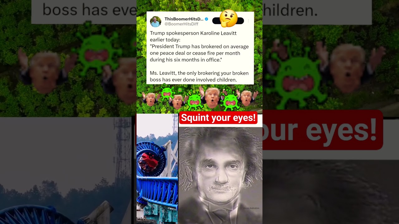 The Rise and Fall of Trump's Public Persona