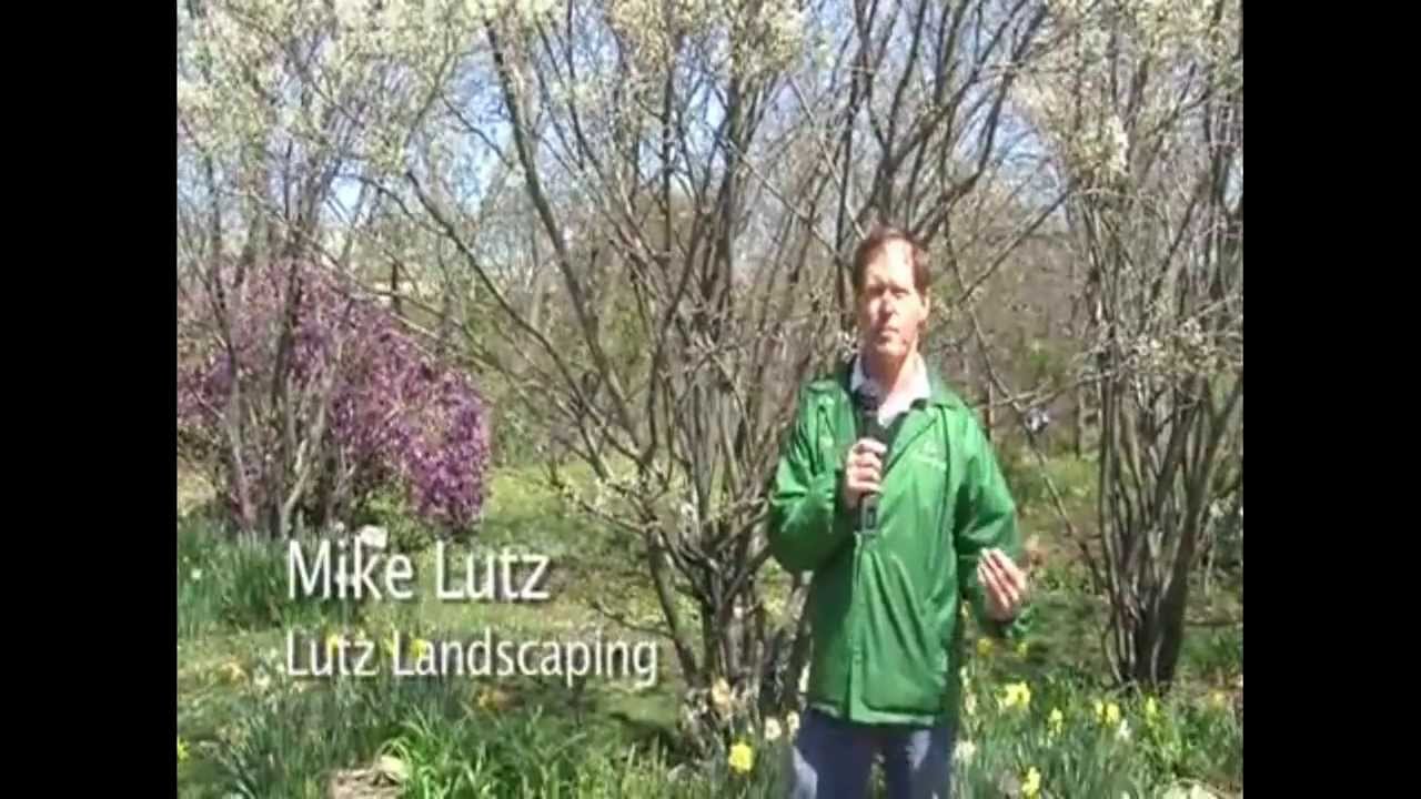 Garden City Bird Sanctuary Earth Run Youtube