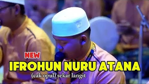 New!!! Ifronnuru atana || cak opul (ghogur) sekar langit 