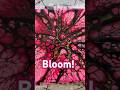 Making a pretty pink bloom with black & gold cell activators! #kimjamesonart #bloom #sheleeartstyle