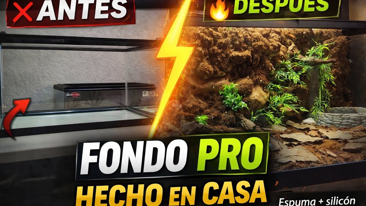 🔥 Cómo hacer un FONDO PRO para terrario con espuma de poliuretano (BARATO y RESISTENTE)