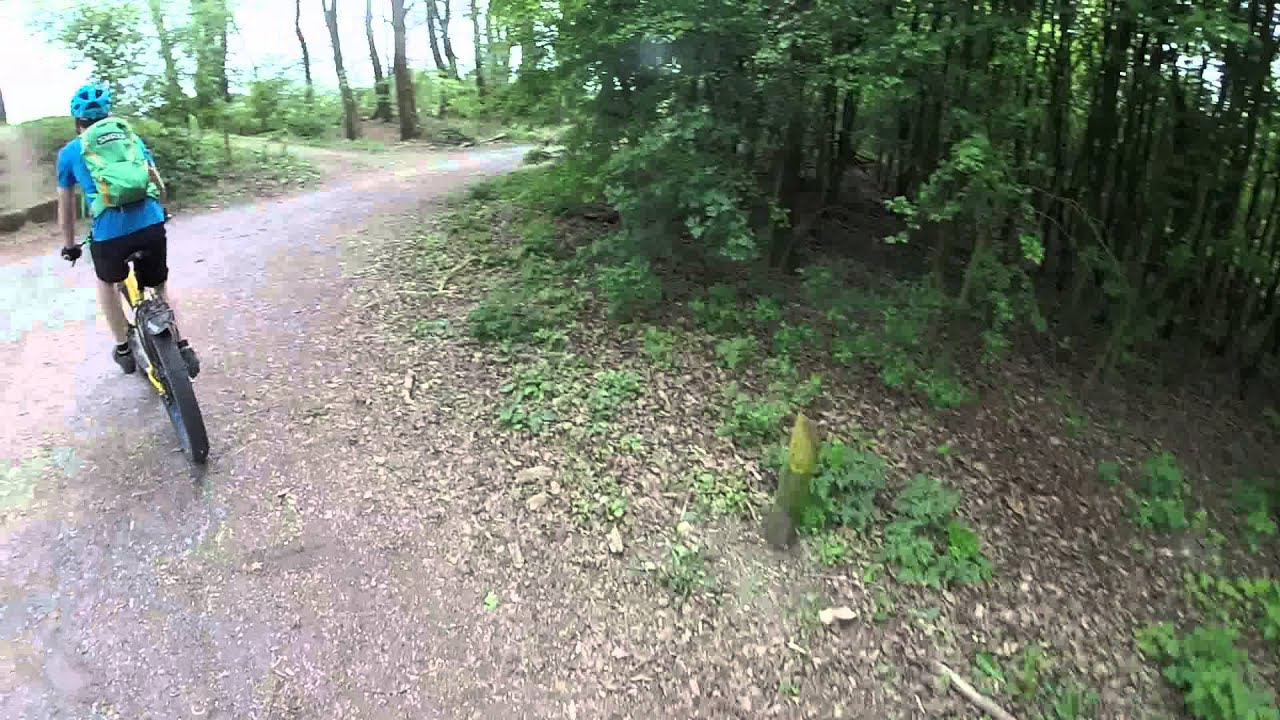 Kutten met de pug - YouTube