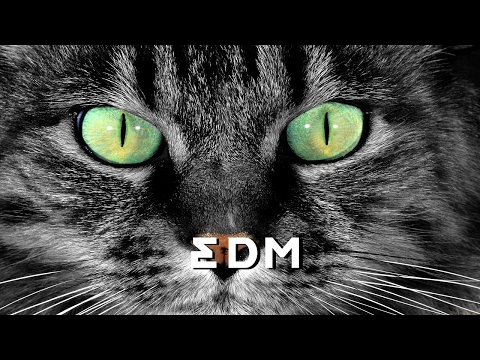 Snow Patrol - Chasing Cars(Remix Dj Tiesto)