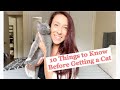 10 THINGS I WISH I KNEW BEFORE GETTING A KITTEN