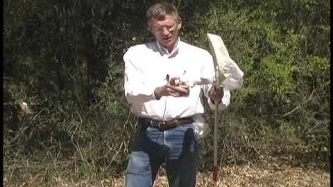 Using Different Nets for Insect Collecting