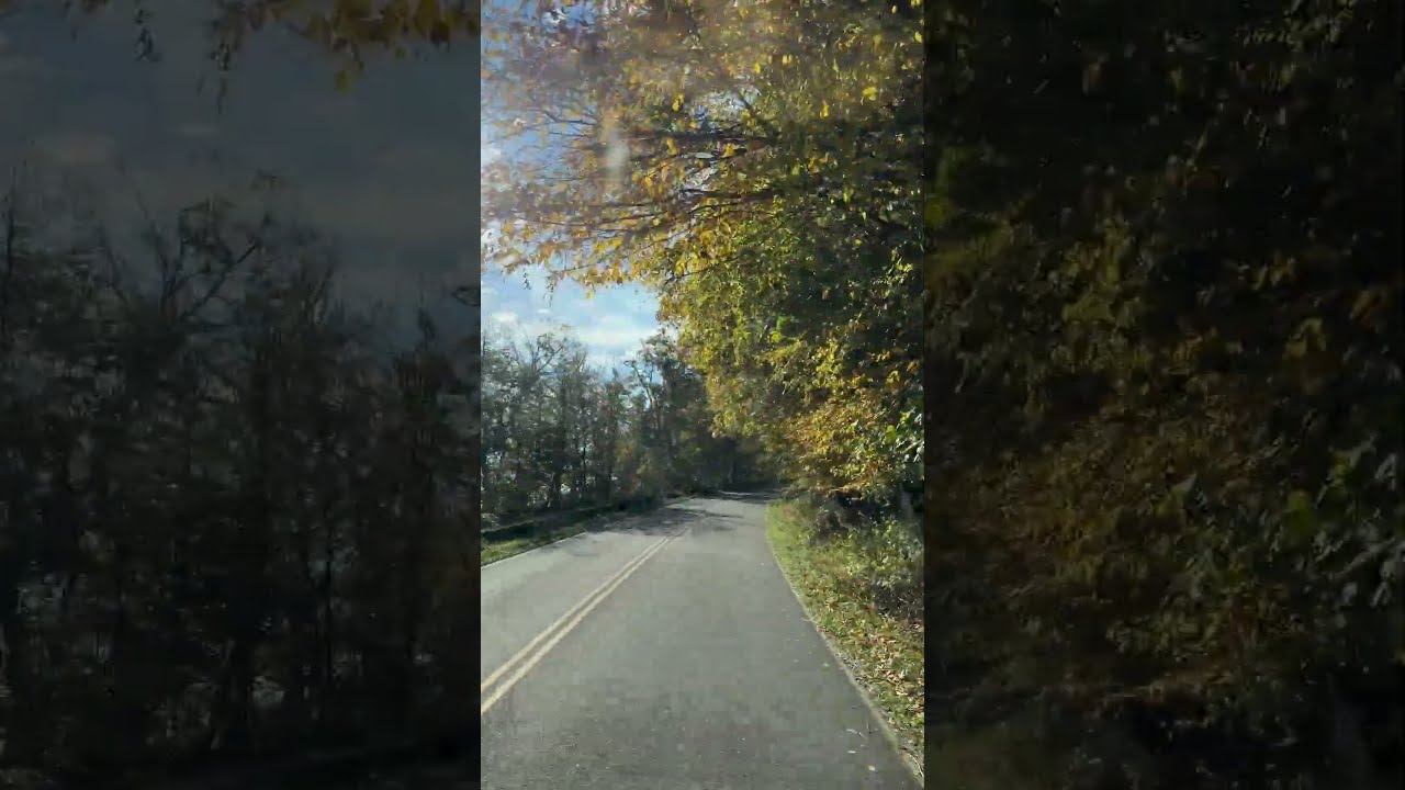 Skyline Drive in Shenandoah National Park is Gorgeous! 🍁