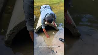 The Secret Hack to Catching Softshell Turtles! #fishinglife #catch #skills