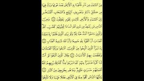 سورة البقرة من الآية (164) إلى الآية (167)