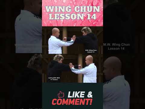 Wing Chun Lesson 14