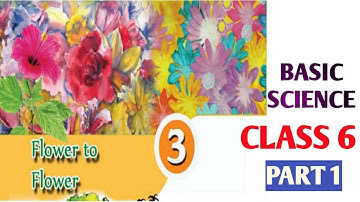 Class 6 Chapter 3 Basic Science Flower to Flower Kerala Syllabus | Part 1