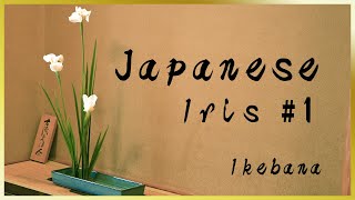 Ikebana Lesson | What is Hagumi? How to Arrange Leaves in Ikebana | Arranging the Japanese Iris